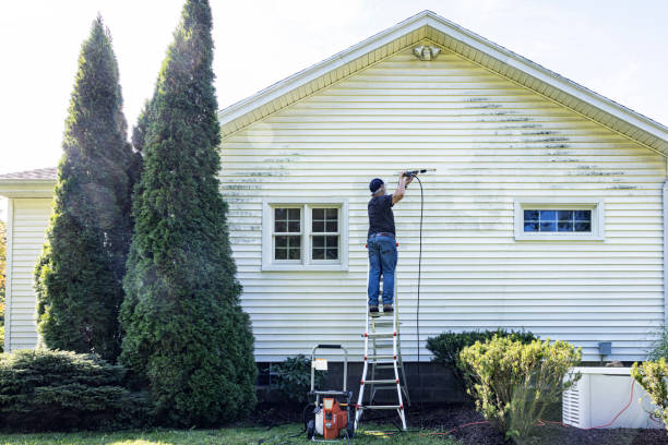 Local Pressure Washing Services in Woodland, WA